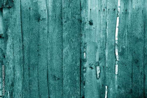Wall made of uncutted weathered wood boards in cyan tone.