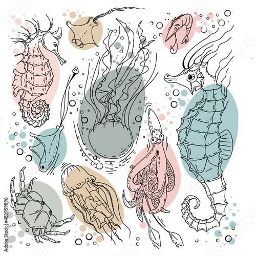 Colored fish set. Sea life set for background and design. Set of colorful hand drawn clams for design. Set of isolated marine inhabitants on a white background. 