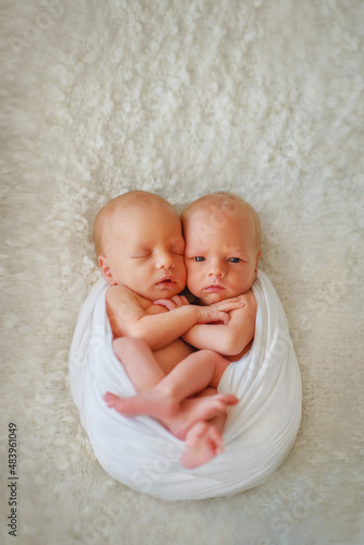 Twins. The large family. Brothers. Newborn babies. Boys. Newborn twins together. Love. Happy family. Sweet babies. Twins. Newborn babies are fast asleep. Newborn twins hug each other. Newborn portrait