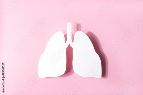 Model of a human lungs shaped white paper on a pink background. Lung Health Day. World Pneumonia Day