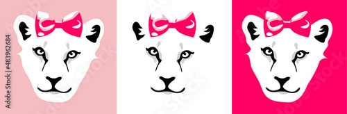 Muso di leonessa cucciolo leone felino selvatico fiocco delizioso carino cool savana safari femmina rosa