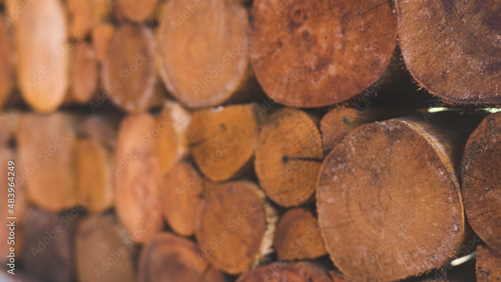 A blurry focus of pile stacked natural sawn wooden logs texture for background A blurry focus of pile stacked natural sawn wooden logs texture for background