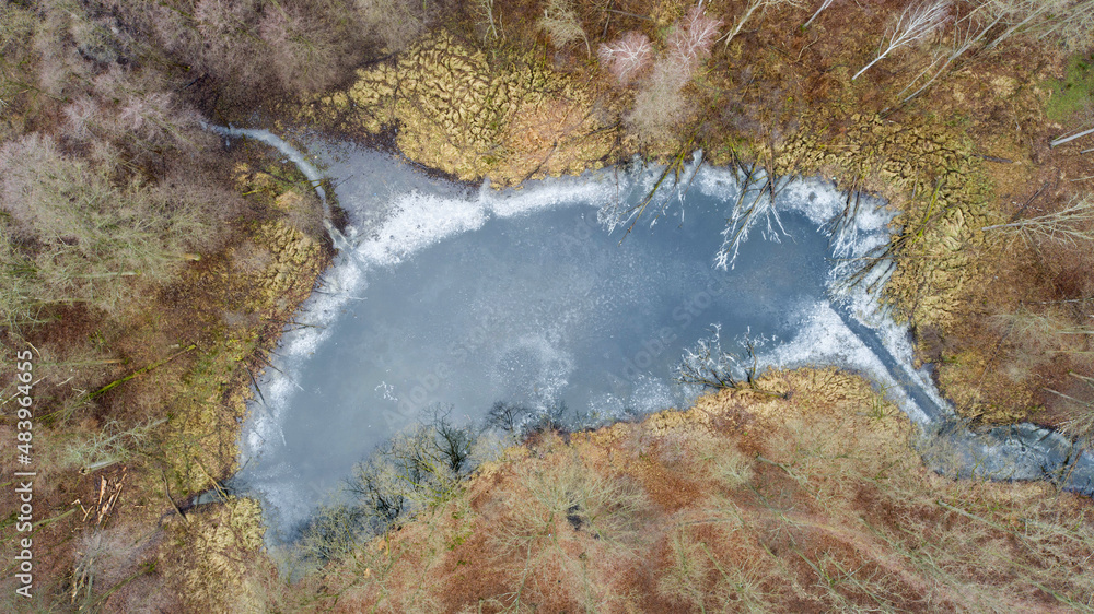 The oxbow lakes of the Odra River near the Vratislavia in Poland
