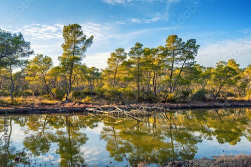 Panoramic view from Divjaka - Karavasta National Park in Albania