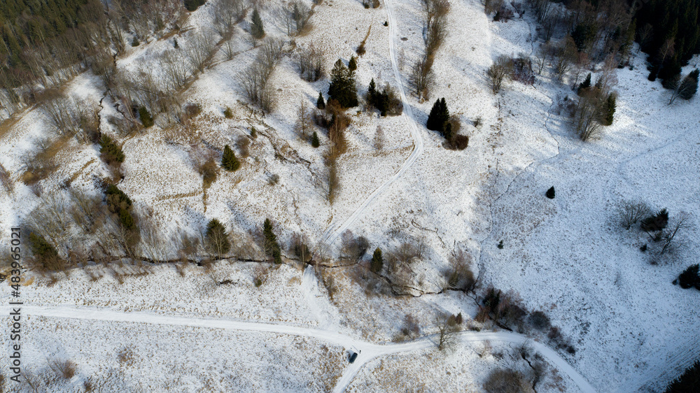 A small, mid-forest clearing in the Golden Mountains (Poland)