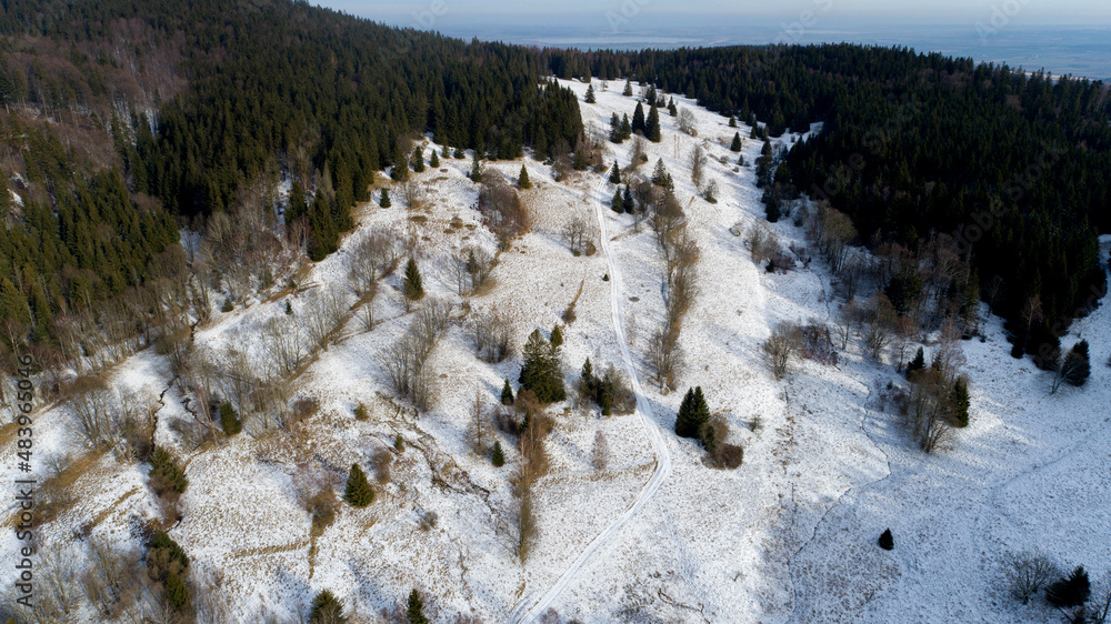 A small, mid-forest clearing in the Golden Mountains (Poland)
