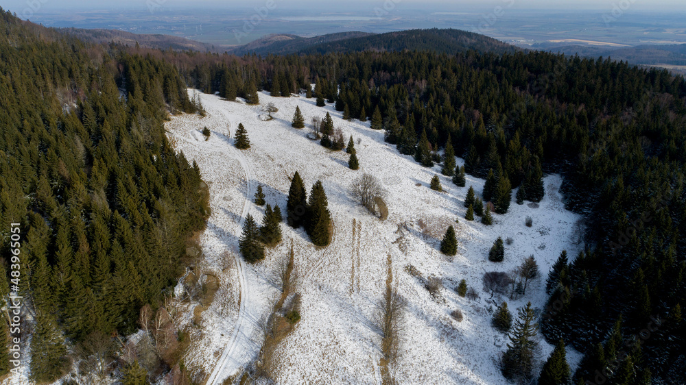 A small, mid-forest clearing in the Golden Mountains (Poland)