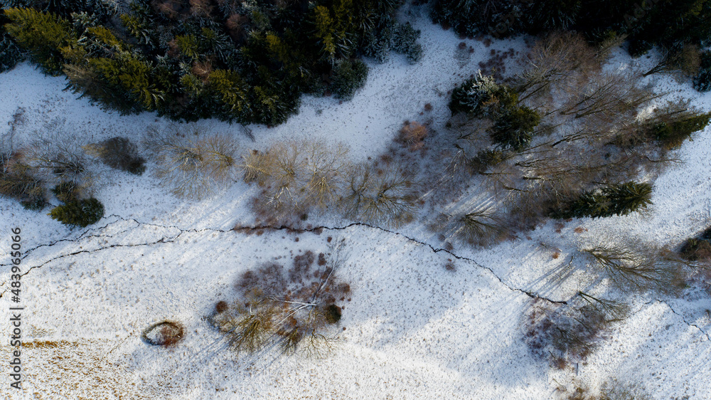 A small, mid-forest clearing in the Golden Mountains (Poland)