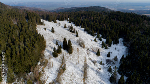Obraz na płótnie A small, mid-forest clearing in the Golden Mountains (Poland) w salonie