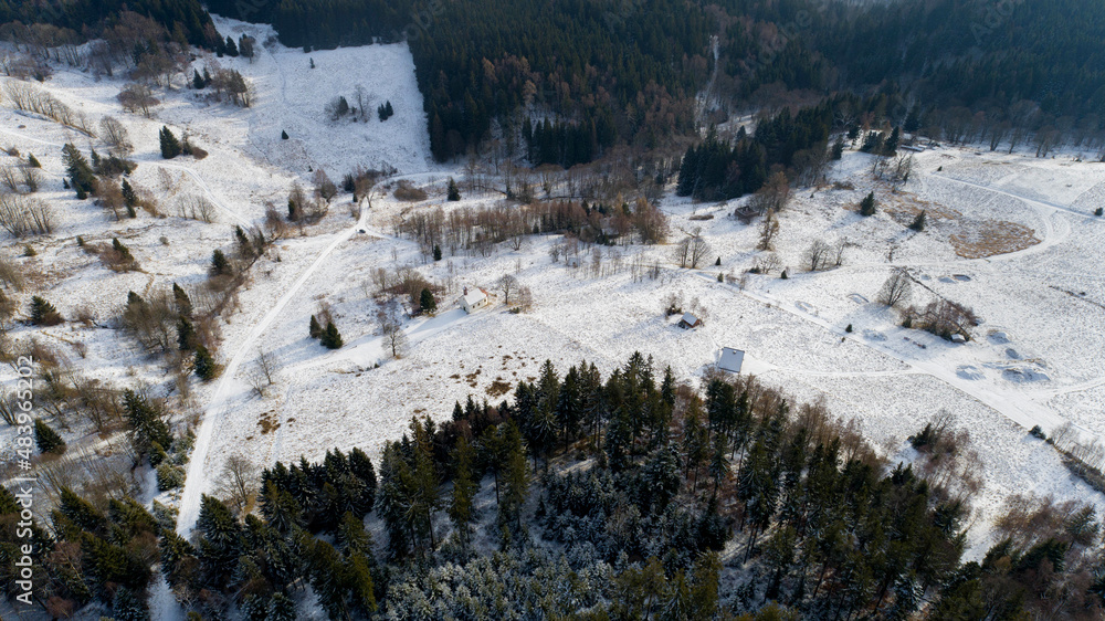 A small, mid-forest clearing in the Golden Mountains (Poland)