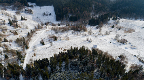 A small, mid-forest clearing in the Golden Mountains (Poland)