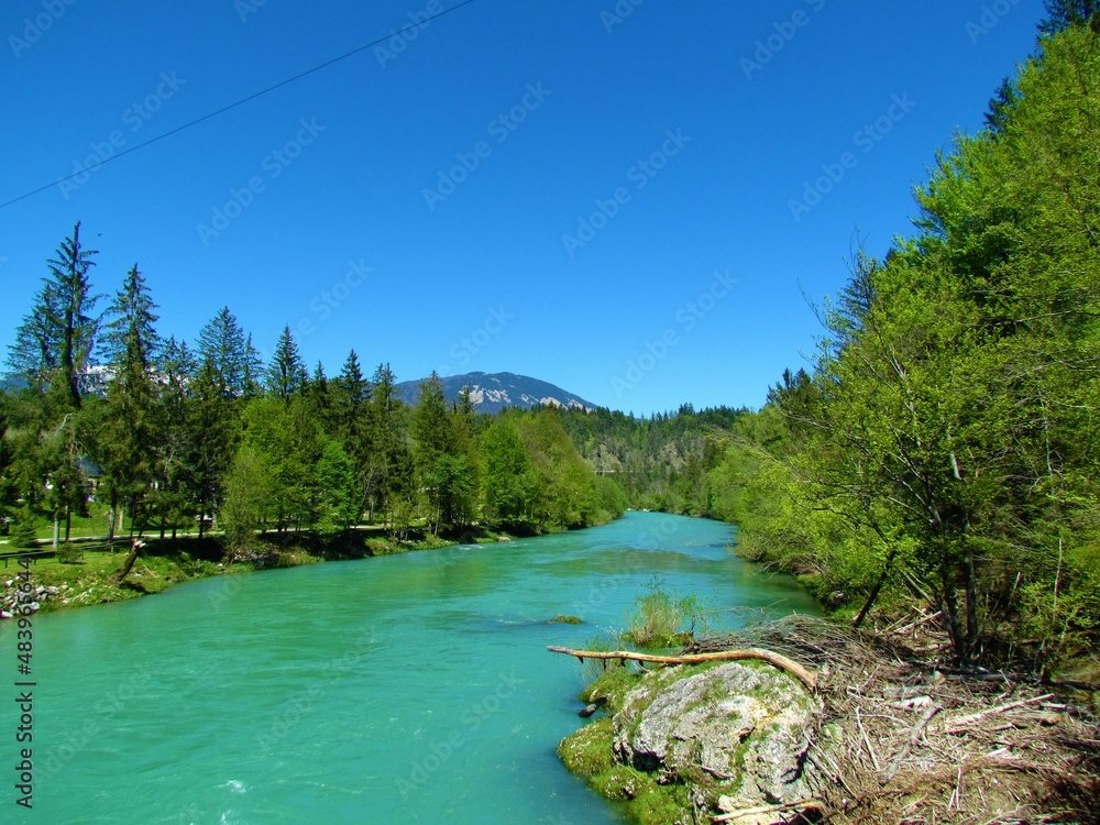 Scenic Sava river in Gorenjska, Slovenia with trees on the banks in bright green foliage