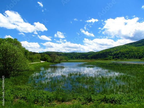 Beautiful marsh at lake Cerknica in Notranjska, Slovenia with aquatic vegetation and a reflection in the water © kato08