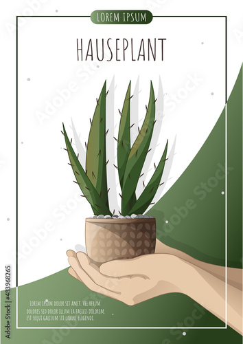 aloe vera in a pot, Woman and pot with houseplant. Caring for houseplants. Houseplant, home garden, gardening, plant lover, houseplant store concept, greenhouse.	 A4 vector illustration for poster