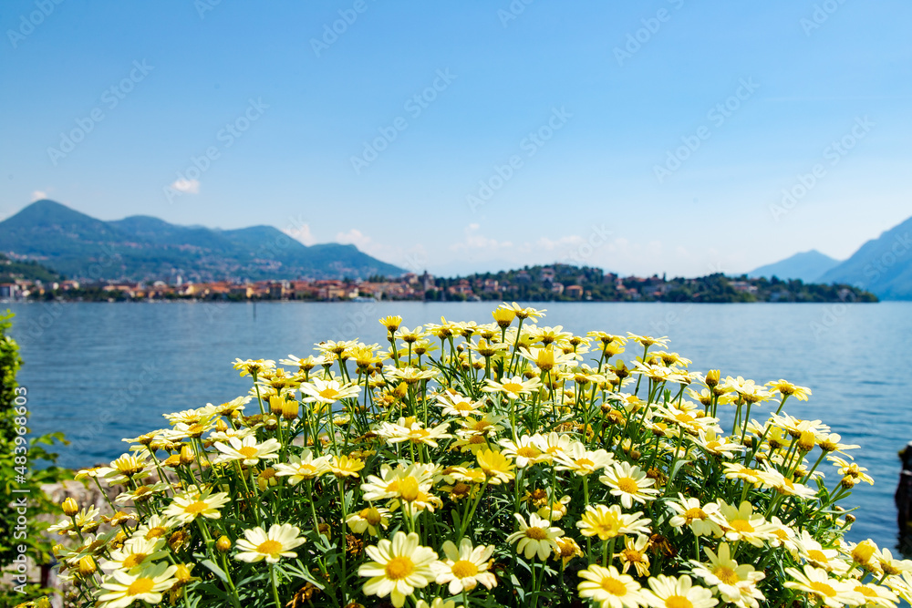 Il giardino botanico all'inglese sull'Isola Madre nel Lago Maggiore