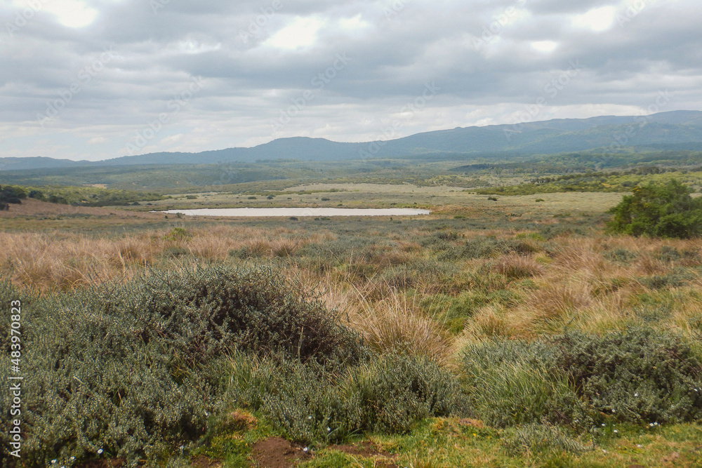 Scenic view of a river in the moorland zone of Aberdare National Park, Kenya Scenic view of a river in the moorland zone of Aberdare National Park, Kenya