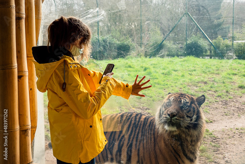 Canvastavla Young slim teenager girl in yellow jacket in a zoo