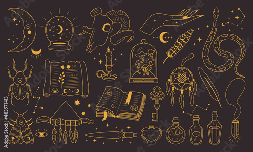 Outline alchemy witchcraft set with hand drawn elements. Magic shop and fairy tale golden vector silhouettes of insect potion skull snake scroll dream catcher. Celestial and astronomy collection