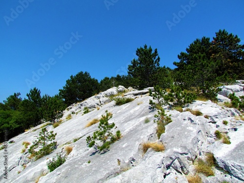 Karst limestone rock formation at Nanos plateau at the top of Skavnica hill in Slovenia photo