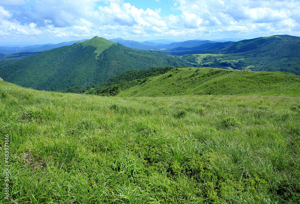 Polonyna Wetlinska in Bieszczadzki National Park (Poland).