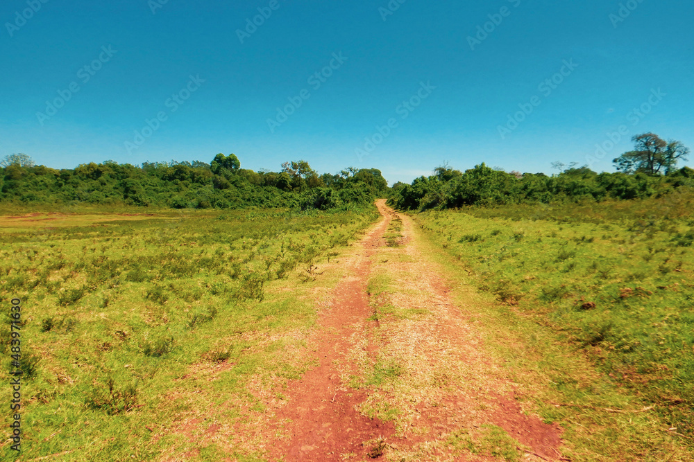 Scenic field against sky in the moorland ecological zone of Aberdare National Park, Kenya 
