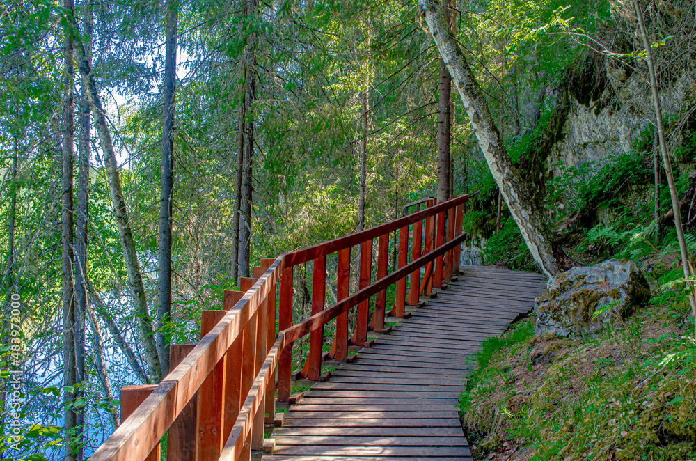 Obraz premium Оленьи Ручьи