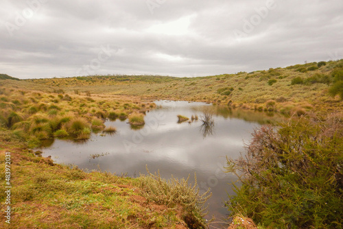 Scenic view of a river in the moorland zone of Aberdare National Park, Kenya