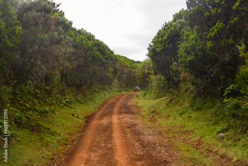 A safari jeep on a dirt road against forest at Aberdare National Park, Kenya