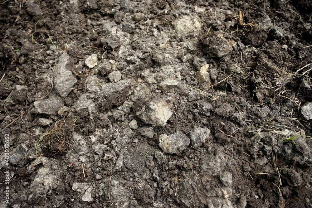 Soil in a plowed field (eastern Poland, near Slawatycze)