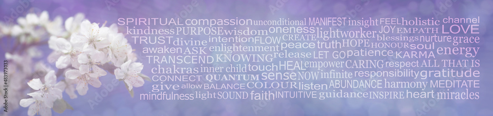 Spring Blossom and Spiritual Words Wall Art Concept - white apple blossom on left with and a wide word cloud relevant to spirituality against a blue lilac flowing background
Spring Blossom and Spiritual Words Wall Art Concept - white apple blossom on left with and a wide word cloud relevant to spirituality against a blue lilac flowing background