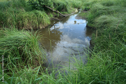 Obraz na płótnie A drainage ditch in the meadows of eastern Poland w salonie
