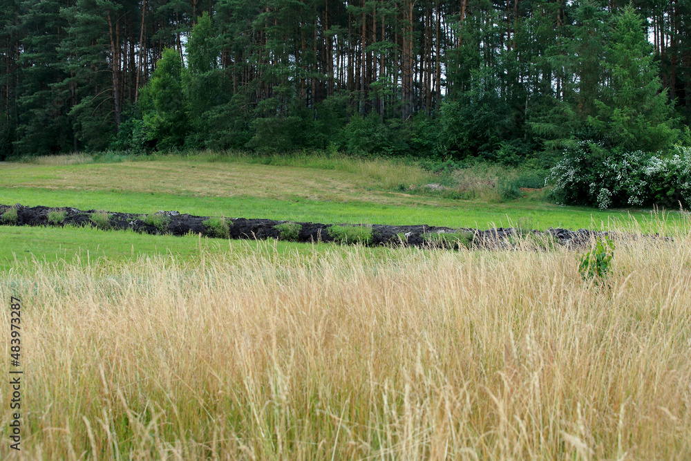 A new drainage ditch on a peat bog in the Kuyavian-Pomeranian Voivodeship (Poland)