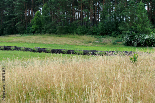 Obraz na płótnie A new drainage ditch on a peat bog in the Kuyavian-Pomeranian Voivodeship (Poland) w salonie