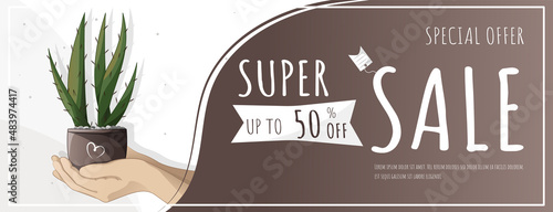 Promotional banner on the sale of houseplants, home garden, gardening, plant lover, houseplant store concept, greenhouse, flower shop, houseplant sale