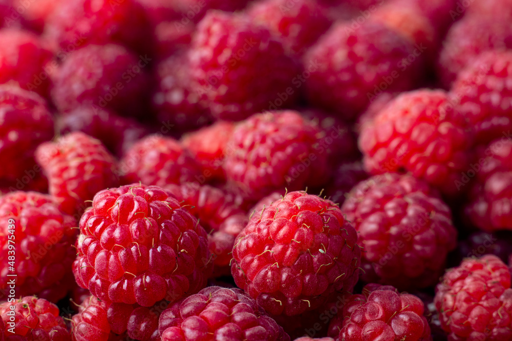 Raspberry. Ripe sweet raspberry background. Close up image. Raspberry. Ripe sweet raspberry background. Close up image.