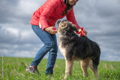 A girl plays with a dog in a field in spring. © shymar27