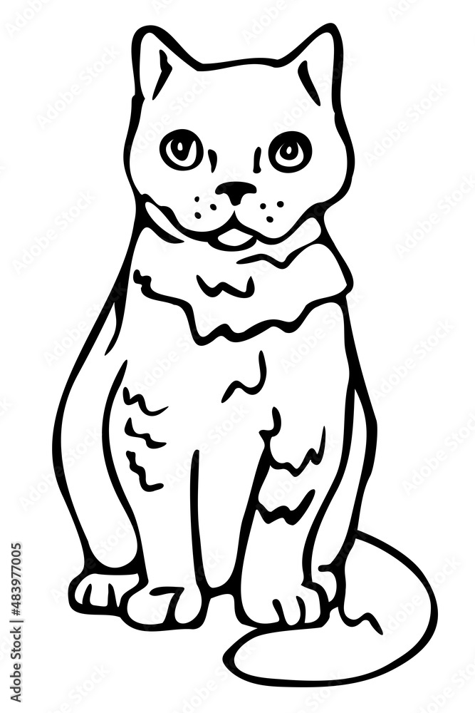 Vector illustration of black and white cat. Isolated cat.