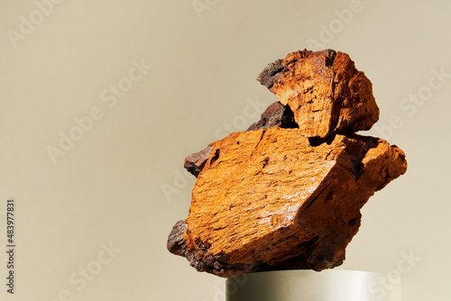 Chunks of natural Chaga mushroom (Inonotus obliquus) on a pastel background. It grows on a birch tree and is used for making tea and herbal remedy. Medicinal  fungus 