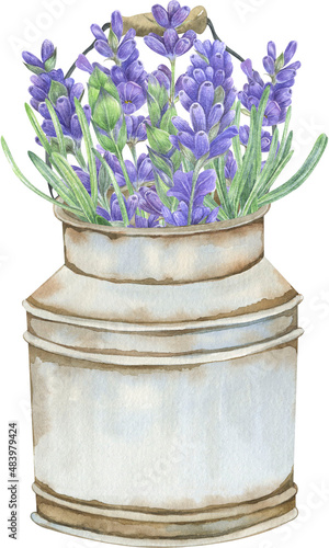 Watercolor lavender bouquets in vintage garden pots. Gardening illustration. photo