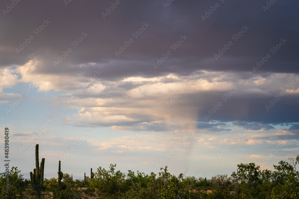 Scattered rainfall from cloudy sky over the Arizona desert