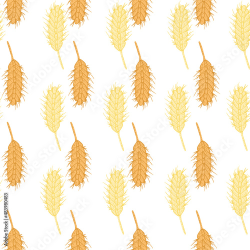Wheat seamless pattern. Cereal crop sketch.