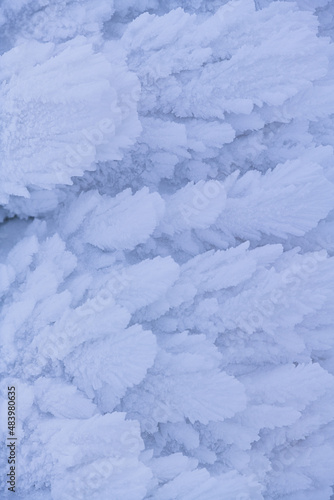Closeup view of a frozen winter landscape on top of the mountains. Trees are covered in snow after massive snowfall and powerful blizzard. Nature photography. © Dragoș Asaftei