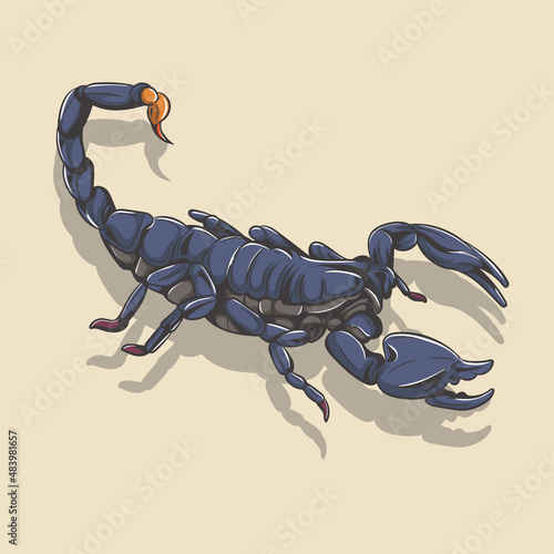 Vector illustration of a scorpion. Scorpion vector.