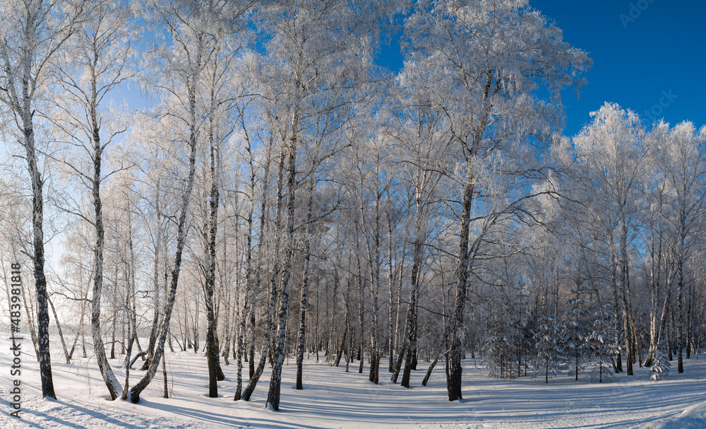 Fototapeta premium Winter landscape in Central Siberia