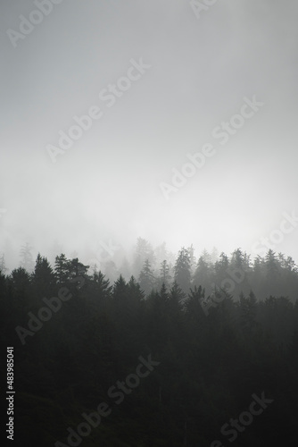 Low hanging fog over the mountains in coastal oregon