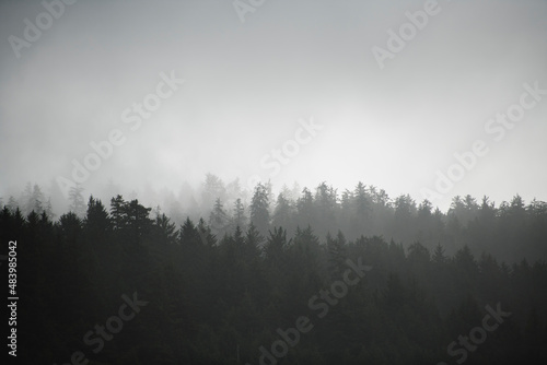 Low hanging fog over the mountains in coastal oregon photo
