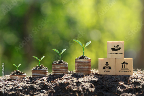 ESG concept of environmental, social, and governance.ESG icon on a woodblock with small tree on stack coins idea for esg investment sustainable organizational development. account the environment,