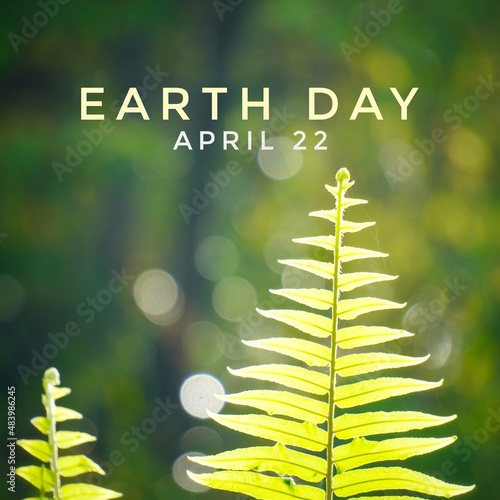 green christmas tree