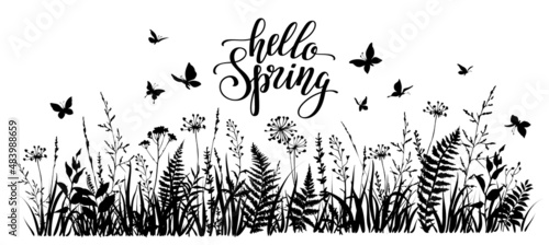 Hello spring illustration with meadow herbs and flying butterflies. Flowering spring field.