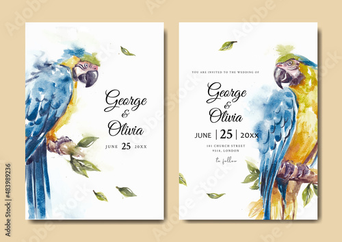 Wedding invitation with beautiful blue and gold macaw parrot watercolor